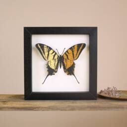 Butterfly Framed Wall Art - Personalized Print Mother's Day Gift 3D For Mom - thumbnail 1
