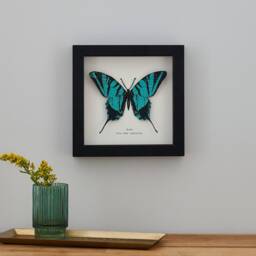 Butterfly Framed Wall Art - Personalized Print Mother's Day Gift 3D For Mom - thumbnail 2