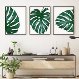 Monstera Leaves Botanical Floral Home Wall Art Decor Prints Poster Printing Framing A5 A4 8x10 A3 A2 - thumbnail 3