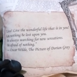 The Picture Of Dorian Gray Pillow, Book Lover Gift, Halloween Decor, Macabre Spooky Classic Horror Story Themed - thumbnail 3