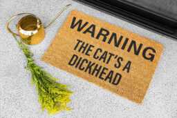 Warning The Cat's A Dickhead Tv Show Doormat 2 Sizes Novelty Gift Present