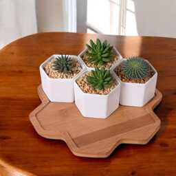 Hexagonal Ceramic Succulent Pots With Wooden Tray - Modern Desk Decor - thumbnail 2