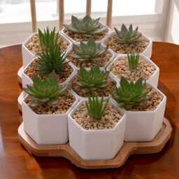 Hexagonal Ceramic Succulent Pots With Wooden Tray - Modern Desk Decor - thumbnail 1