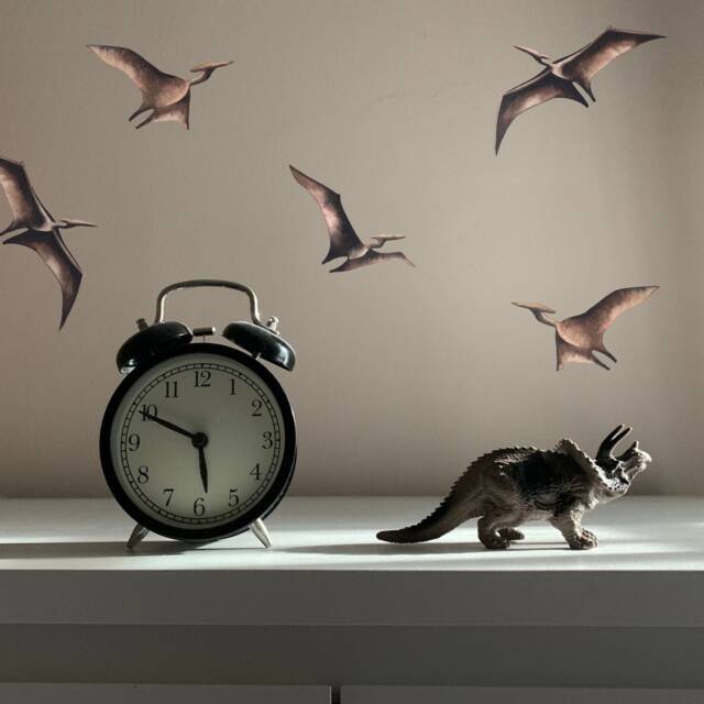 Pterodactyl Wall Stickers, Dinosaur Decals - image 1