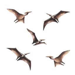 Pterodactyl Wall Stickers, Dinosaur Decals - thumbnail 2