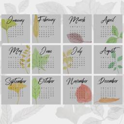 2026 Calendar Refill, Floral Desk Calendar, Botanical Accessories, Gift For Her, Stocking Gift, Secret Santa - thumbnail 2