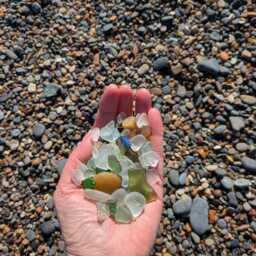 Seaglass Bird Art - Driftwood Family Tree Coastal Decor - 20x20cm Frame - thumbnail 4