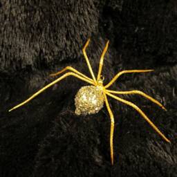 Golden Spider - thumbnail 2