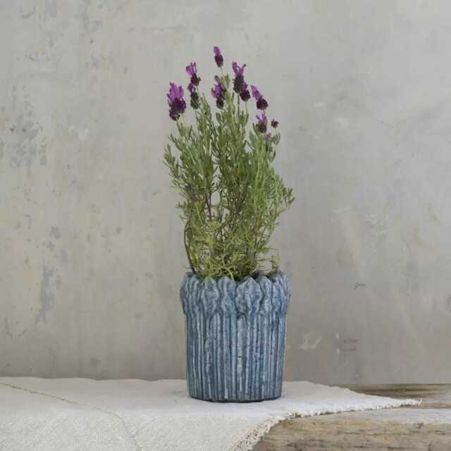 Blue Plant Pot - Rustic Teal Flower Striped Succulent Planter Cacti, Herb, Cover Textured - image 1