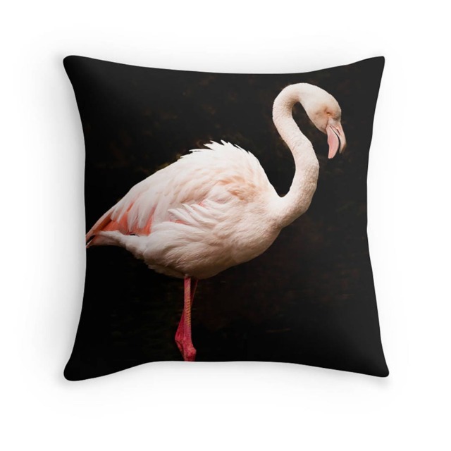Flamingo Photograph Cushion, Double-Sided Print