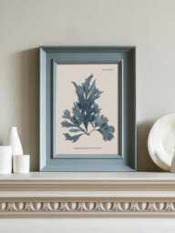 Seaweed Botanical Print - Vintage Ocean Illustration Wall Art Coastal Marine Poster Bathroom Nautical Home Decor - thumbnail 1