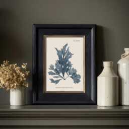 Seaweed Botanical Print - Vintage Ocean Illustration Wall Art Coastal Marine Poster Bathroom Nautical Home Decor - thumbnail 3