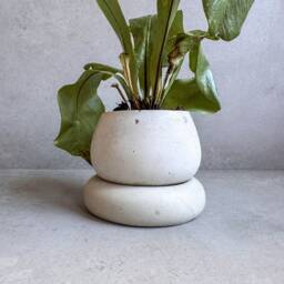Mini Concrete Planter With Drainage, Cute Tiny Plant Pot, Bubble Succulent Planter, Decorative Small Nordic Chubby Miniature Pot - thumbnail 4