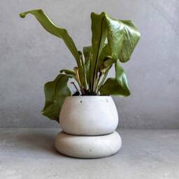 Mini Concrete Planter With Drainage, Cute Tiny Plant Pot, Bubble Succulent Planter, Decorative Small Nordic Chubby Miniature Pot