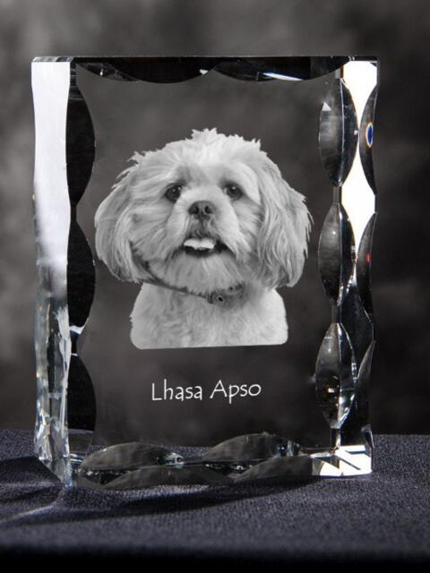 Lhasa Apso, Cubic Crystal With Dog, Souvenir, Decoration, Limited Edition, Collection - image 1