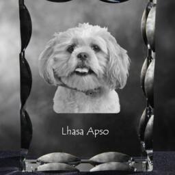 Lhasa Apso, Cubic Crystal With Dog, Souvenir, Decoration, Limited Edition, Collection - thumbnail 2