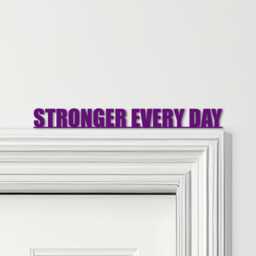 Door Topper Stronger Every Day Gym Quote Various Colours Decorative Sign - Novelty Wall Decor, Frame Art, Art - thumbnail 4