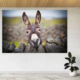 A Nice Donkey Under The Rain 3D View Wall Sticker Poster Decal A850 - thumbnail 1
