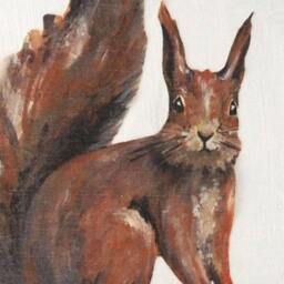 Hand Painted Squirrel Life-Size Wall Decal Drawing Sticker - thumbnail 1