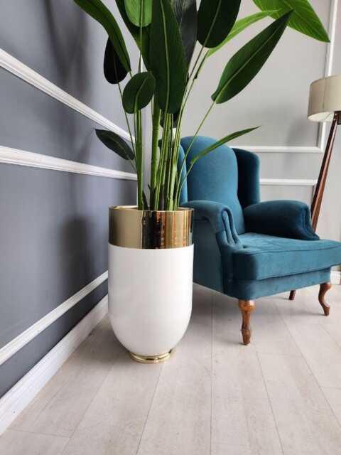 indoor palm plant Beaucarnea recurvata 'Ponytail Palm' Floor Plant
