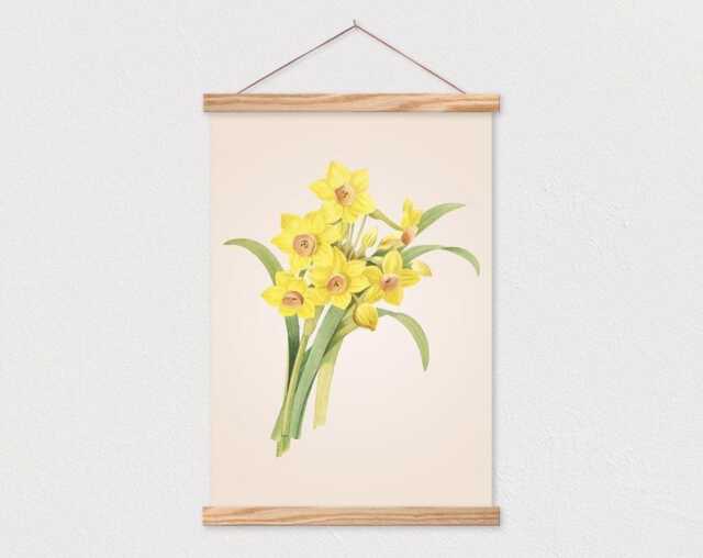 Vintage Botanical Daffodil Drawing Canvas Print With Wood Frame Rails - Flower Art Print - image 1
