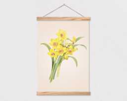 Vintage Botanical Daffodil Drawing Canvas Print With Wood Frame Rails - Flower Art Print - thumbnail 1