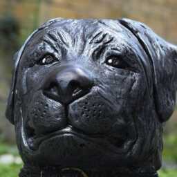 Massive Black Labrador Head Sculpture Stone Retriever Bust Outdoor Dog Statue For Garden Decoration Concrete Pet Memorial Yard Ornament Gift - thumbnail 2