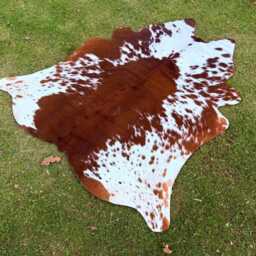 Handmade Brown & White Cow Hide Rug-Large Brazilian Skin Floor Area Rug-Genuine Hair On For Living Room-Ideal Gift Home Decor - thumbnail 4