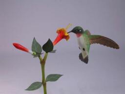 Open-Winged Ruby-Throated Hummingbird #1 Hand Carved Wooden Bird