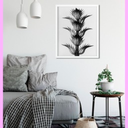 Plant Study #1 - Karl Blossfeldt Botanical Nature 1928 Vintage Printable Decor Wall Art Digital Download - thumbnail 2