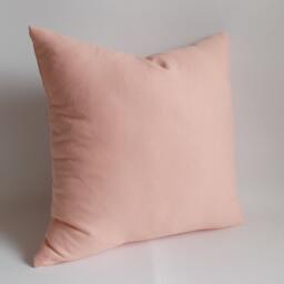 Salmon Throw Pillow Cover Cotton Canvas, Indoor Outdoor Decor - thumbnail 2