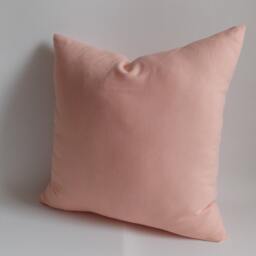 Salmon Throw Pillow Cover Cotton Canvas, Indoor Outdoor Decor - thumbnail 3