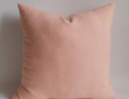 Salmon Throw Pillow Cover Cotton Canvas, Indoor Outdoor Decor - thumbnail 1