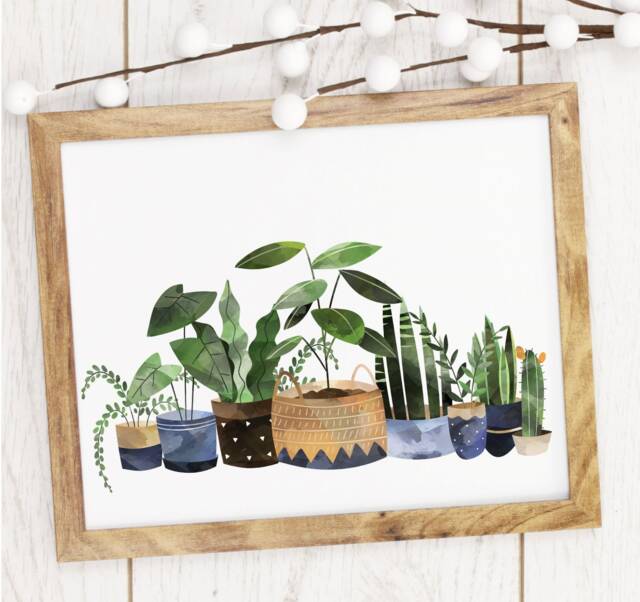 House Plant Cactus - Greenry Pots Succulent Cactus- Home Print Gift