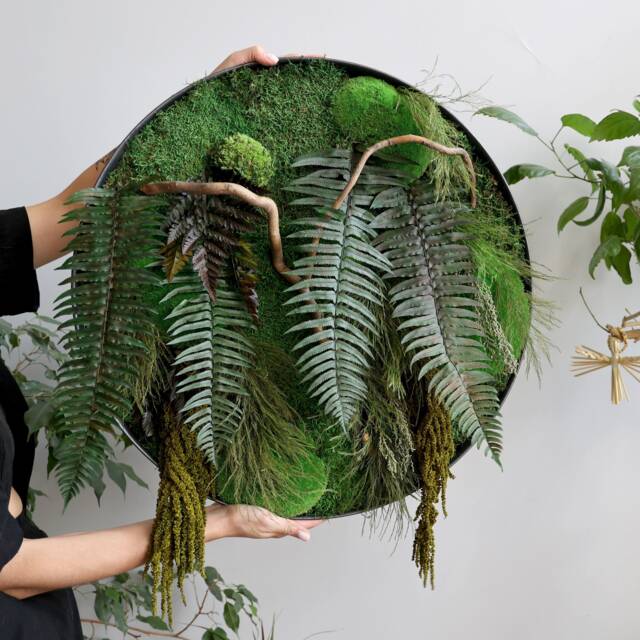 Big Preserved Fern & Moss Wall Art, Forest Greenery Installation Home Decor, Round Living Plant Botanical Hanging