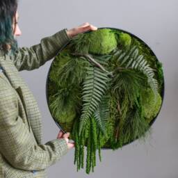 Big Preserved Fern & Moss Wall Art, Forest Greenery Installation Home Decor, Round Living Plant Botanical Hanging - thumbnail 3