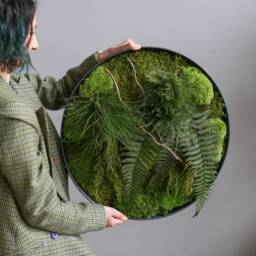 Big Preserved Fern & Moss Wall Art, Forest Greenery Installation Home Decor, Round Living Plant Botanical Hanging - thumbnail 2
