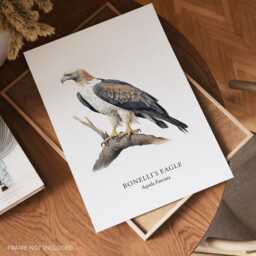Eagle Art Print, Bird Poster, Illustrated Wall Decor, Of Prey, Gifts - thumbnail 2