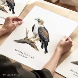 Eagle Art Print, Bird Poster, Illustrated Wall Decor, Of Prey, Gifts - thumbnail 1