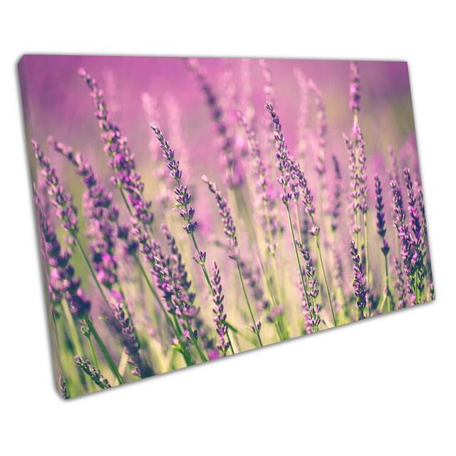 Purple Bluebells Wild Grasses Canvas Wall Art For Home Office Decor - image 1