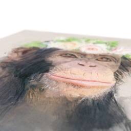 Chimpanzee Flower Crown Canvas Art Jungle Animal Print - thumbnail 2