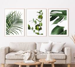 Leaf Wall Art, Prints, Botanical Set Of 3 Green Photography Posters, Monstera Leaf, Bedroom Print, Living Room Prints - thumbnail 1