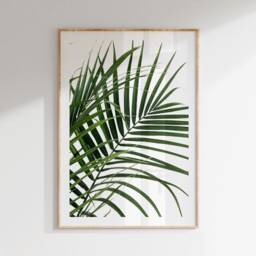 Leaf Wall Art, Prints, Botanical Set Of 3 Green Photography Posters, Monstera Leaf, Bedroom Print, Living Room Prints - thumbnail 3