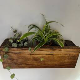 Rustic Wood Wall Planter - Succulent Pot Holder Hanging Indoor Plant Display Mounted Indoor Trough - thumbnail 3