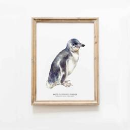White-Flippered Penguin Art Print - Oceanic Beach Watercolour Painting Nursery, Living Room D??cor Gift 8x10 Eudyptula Minor Albosignata - thumbnail 1