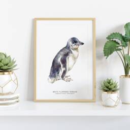 White-Flippered Penguin Art Print - Oceanic Beach Watercolour Painting Nursery, Living Room D??cor Gift 8x10 Eudyptula Minor Albosignata - thumbnail 2
