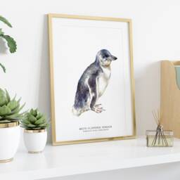 White-Flippered Penguin Art Print - Oceanic Beach Watercolour Painting Nursery, Living Room D??cor Gift 8x10 Eudyptula Minor Albosignata - thumbnail 3