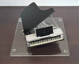 Piano Gift For Man