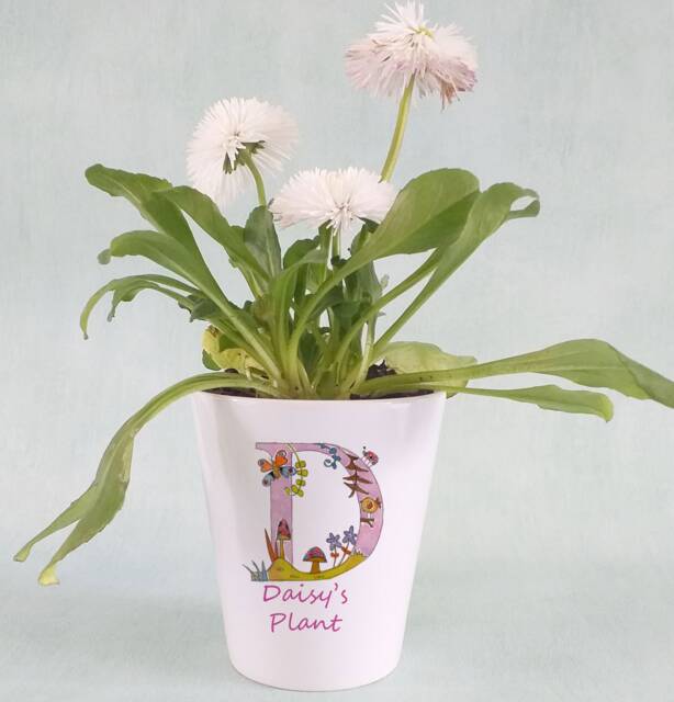 Personalised Ceramic Plant Pot - Custom Floral Name, Gardener Gift - image 1