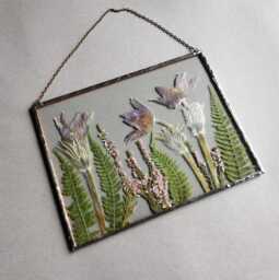Pressed Pasque Flower Wall Art Glass Herbarium Frame, Dried Fern Decor - thumbnail 1